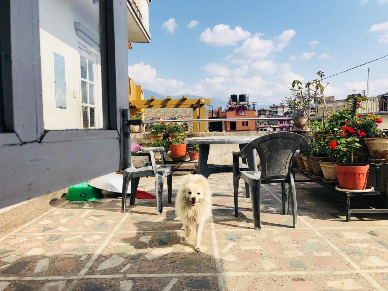 Kaji Home Lalitpur ภายนอก รูปภาพ